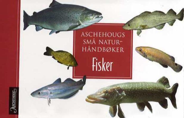 book cover thumbnail