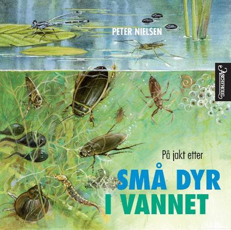På jakt etter små dyr i vannet