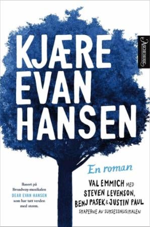 Kjære Evan Hansen - en roman
