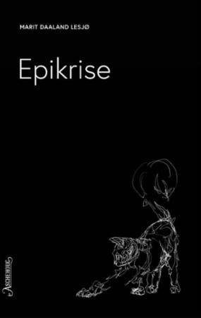 Epikrise - roman