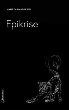 Epikrise - roman