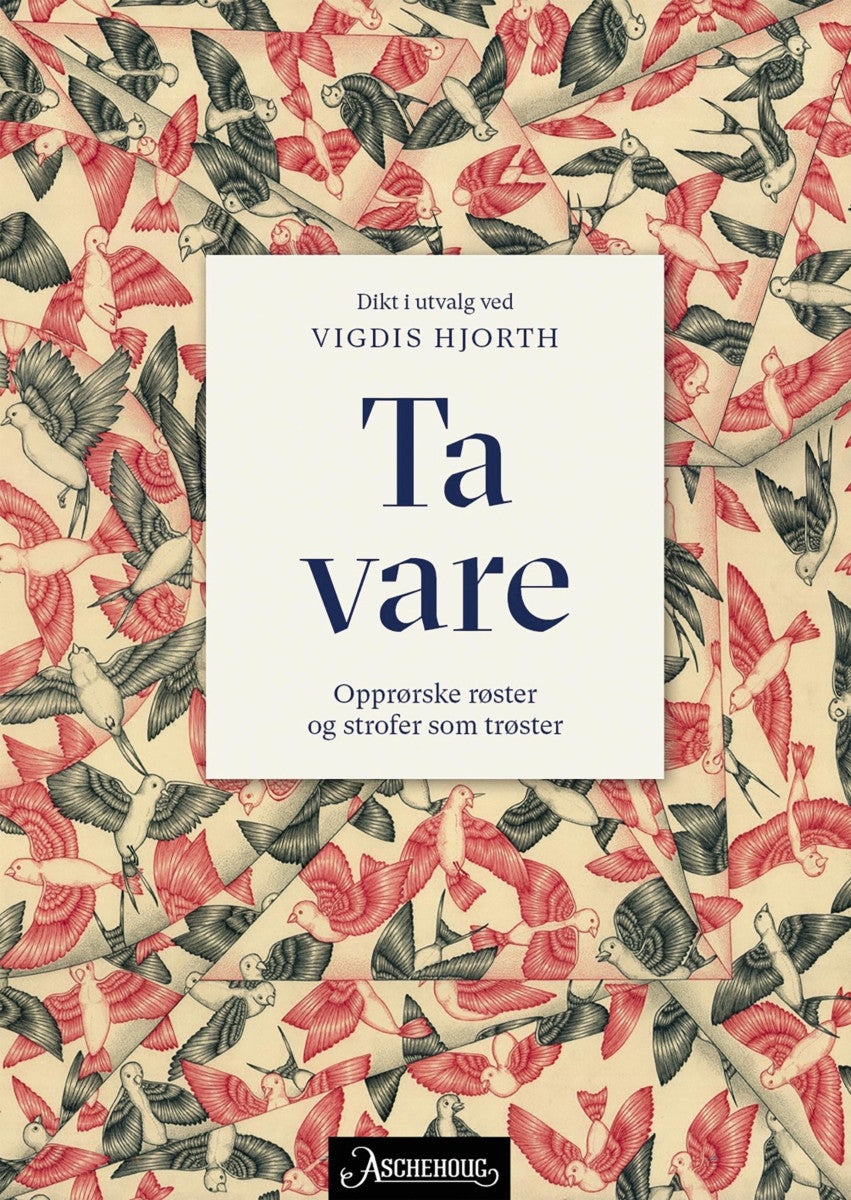 Ta vare - opprørske røster og strofer som trøster