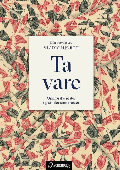 Ta vare - opprørske røster og strofer som trøster