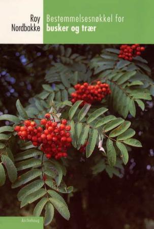 Bestemmelsesnøkkel for busker og trær