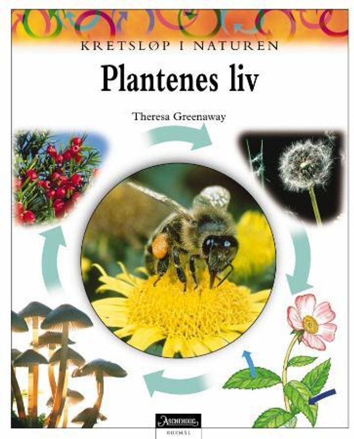 book cover thumbnail