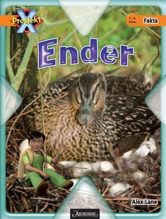 Ender - 1.-4. trinn