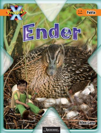 Ender - 1.-4. trinn