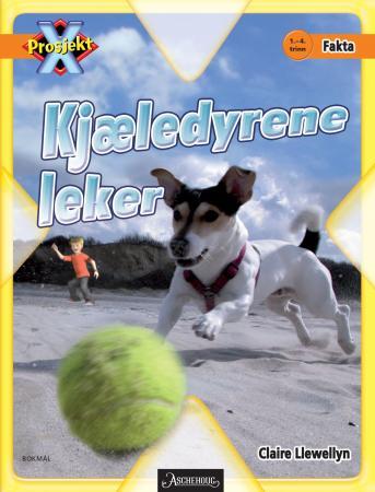 Kjæledyrene leker - 1.-4. trinn