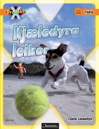 Kjæledyra leiker - 1.-4. trinn