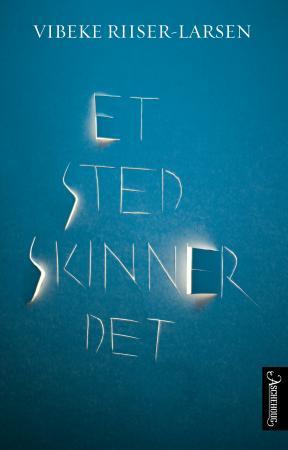 Et sted skinner det - roman