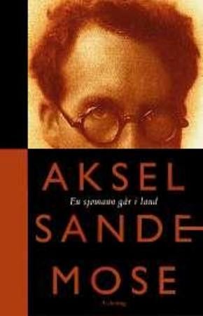 En sjømann går i land - roman