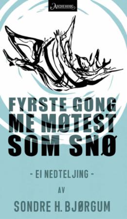 Bilde av Fyrste Gongen Me Møtest Som Snø Av Sondre H. Bjørgum