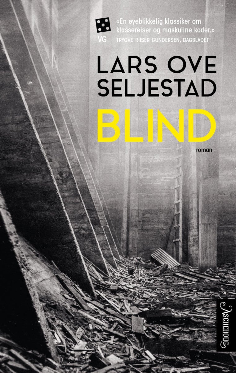 Bilde av Blind Av Lars Ove Seljestad