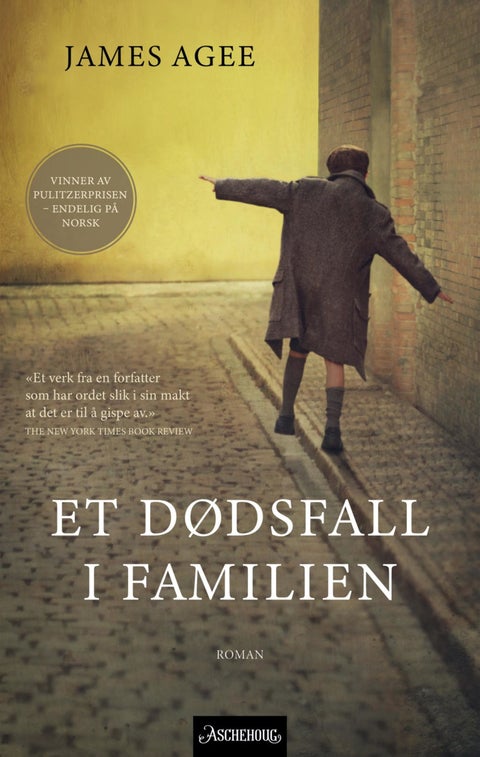 Et dødsfall i familien - roman