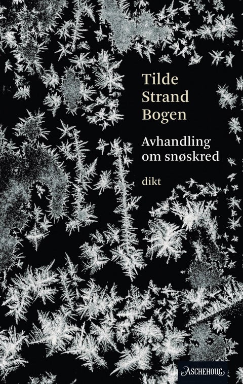 Avhandling om snøskred - lyrikk