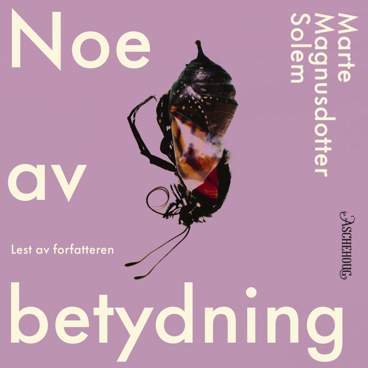 Noe av betydning - roman