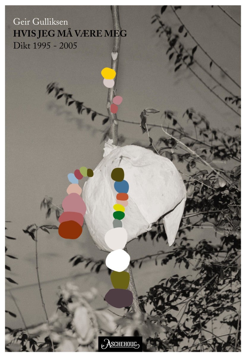 Hvis jeg må være meg - dikt 1995-2005