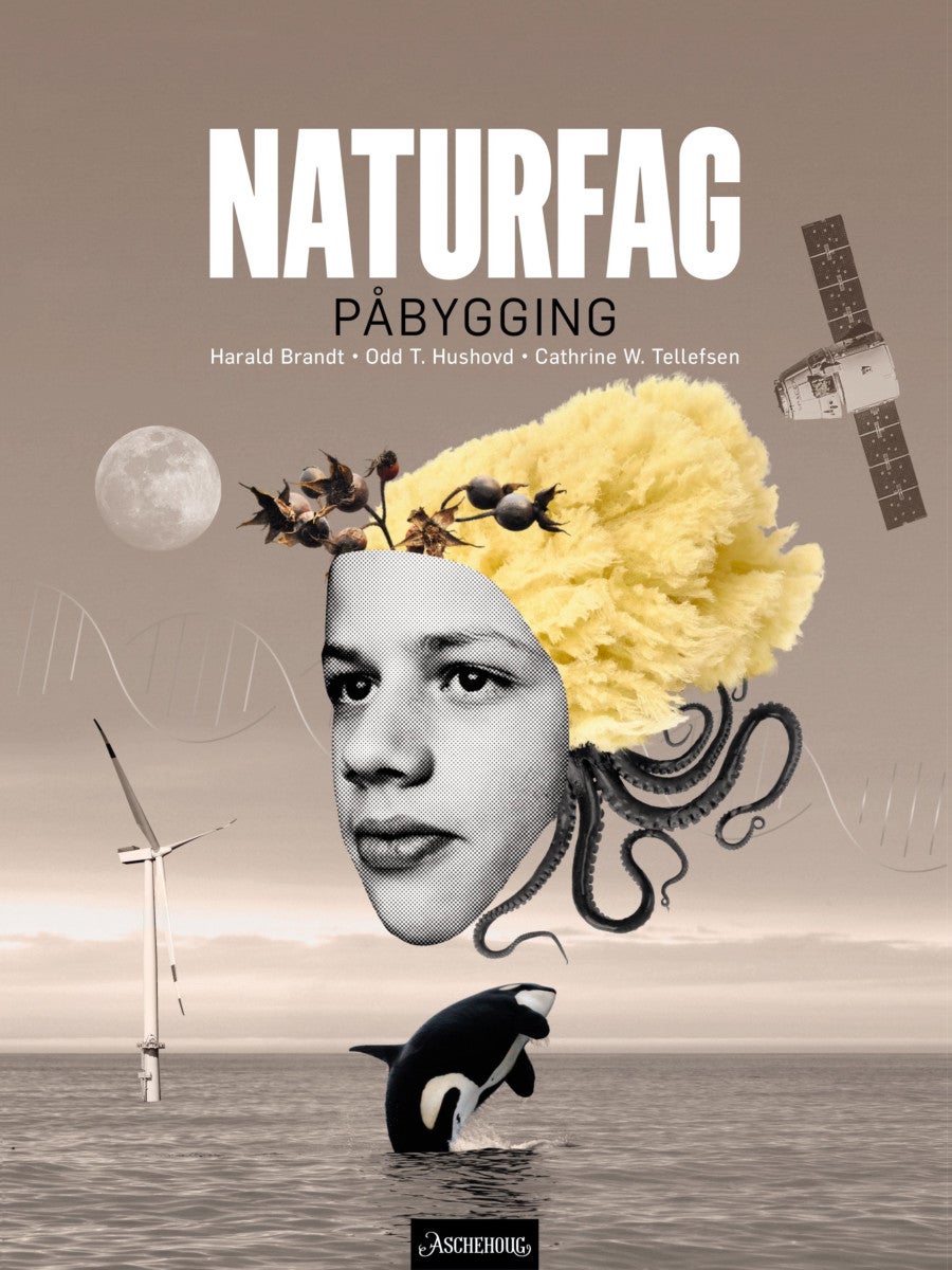 Bilde av Naturfag Påbygging Vg3 Av Harald Brandt, Odd T. Hushovd, Cathrine W. Tellefsen