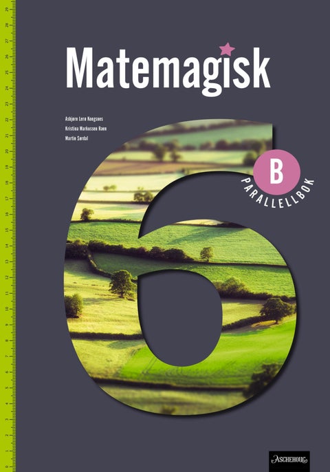 Matemagisk 6B - Parallellbok