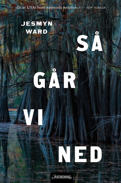 Så går vi ned - roman