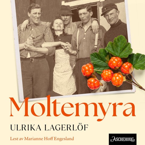 Moltemyra
