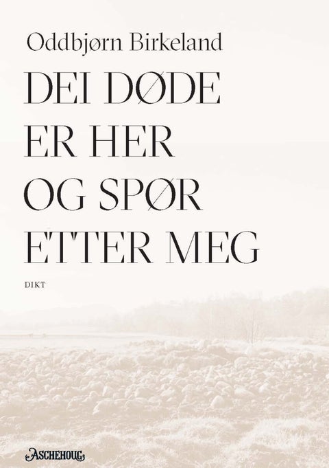 Dei døde er her og spør etter meg - dikt