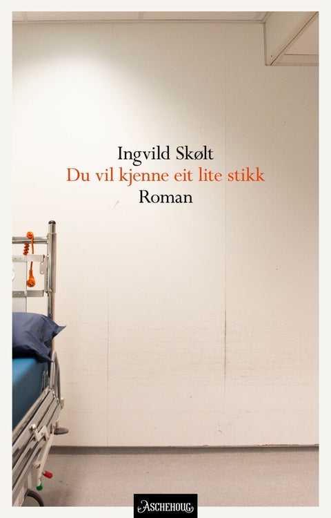 Du vil kjenne eit lite stikk - roman
