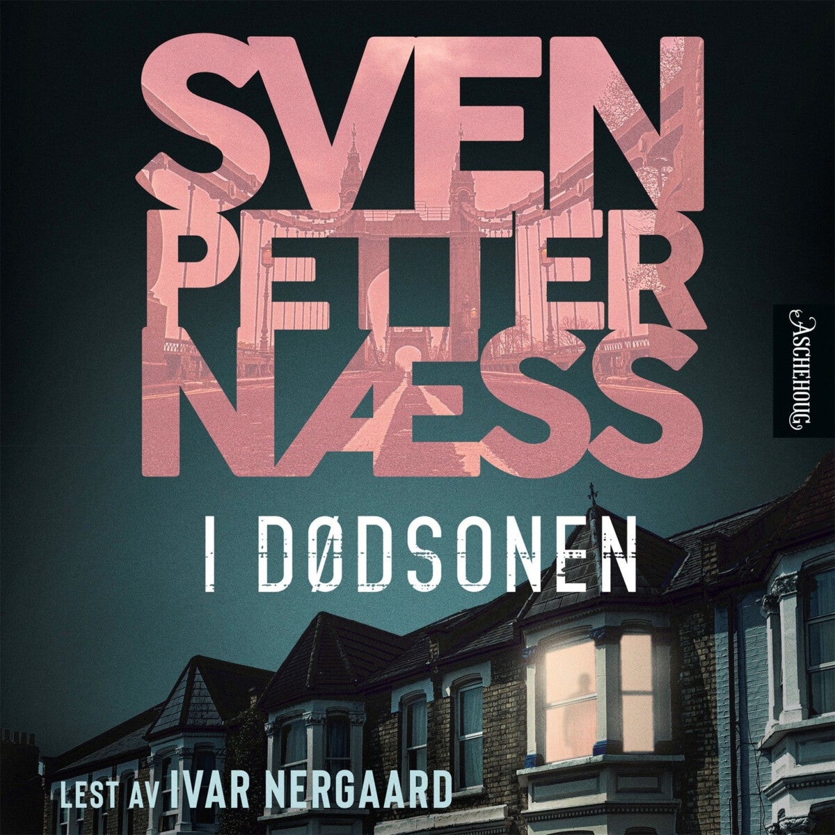 I dødsonen - kriminalroman