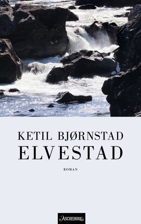 Elvestad - roman