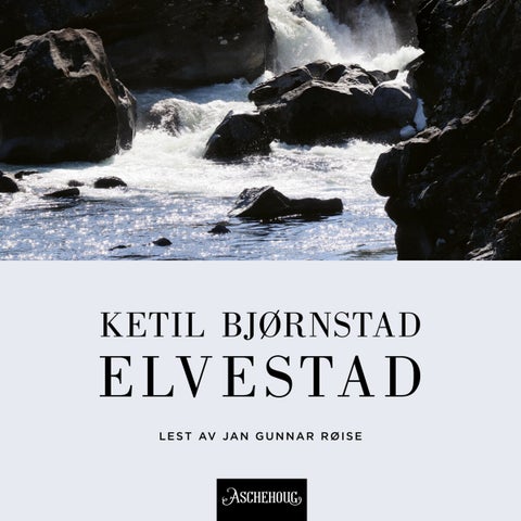 Elvestad - roman