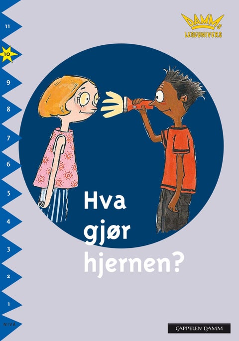 Hva gjør hjernen? - nivå 10