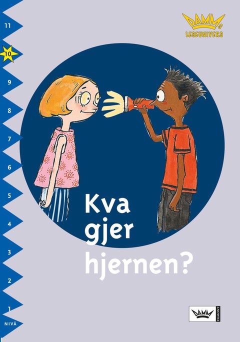 Kva gjer hjernen? - nivå 10