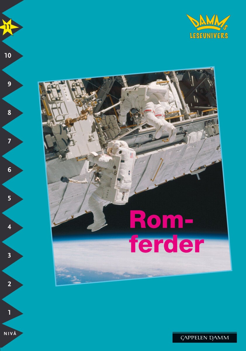 Romferder - nivå 11