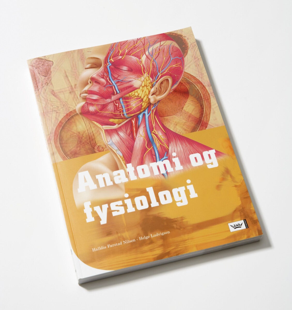 Anatomi og fysiologi