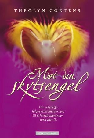 Møt din skytsengel - din usynlige følgesvenn hjelper deg til å forstå meningen med ditt liv