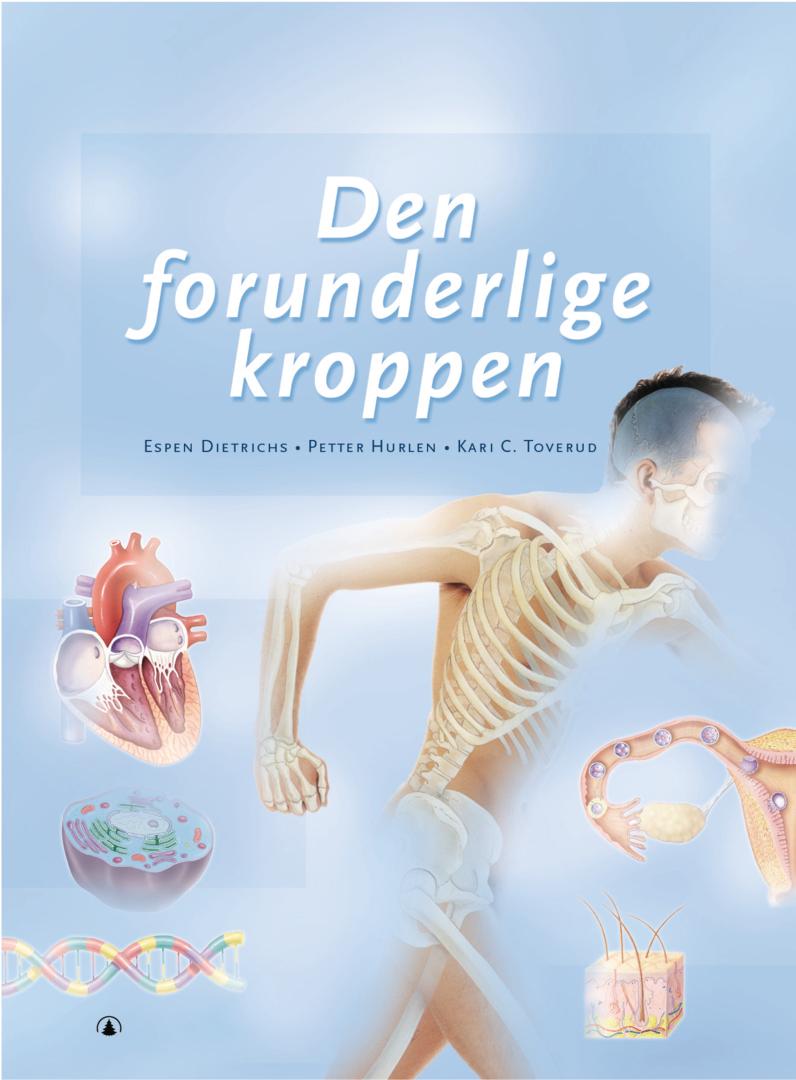 Den forunderlige kroppen av Espen Dietrichs, Petter Hurlen