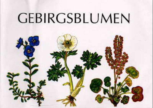 Gebirgsblumen in Skandinavien
