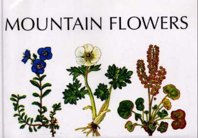Mountain flowers of Scandinavia