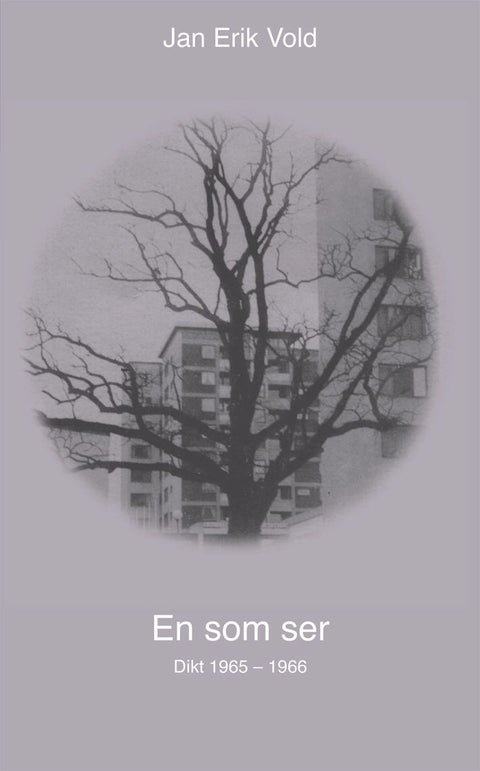 En som ser - dikt 1965-1966