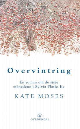 Overvintring - en roman om Sylvia Plath