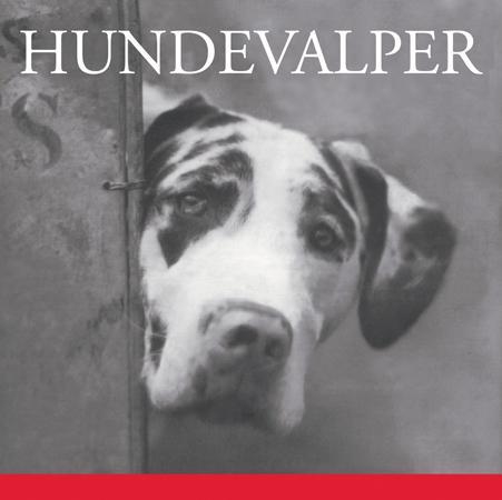 Hundevalper - en fest i bilder