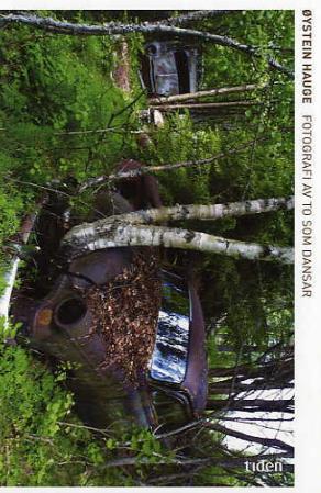 Fotografi av to som dansar - dikt