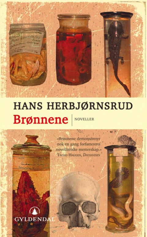 Brønnene - noveller