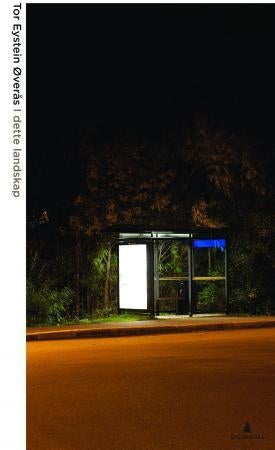 I dette landskap - artikler og essays