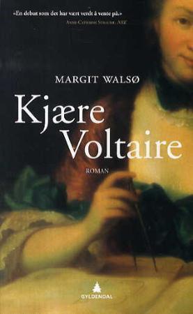 Kjære Voltaire - roman