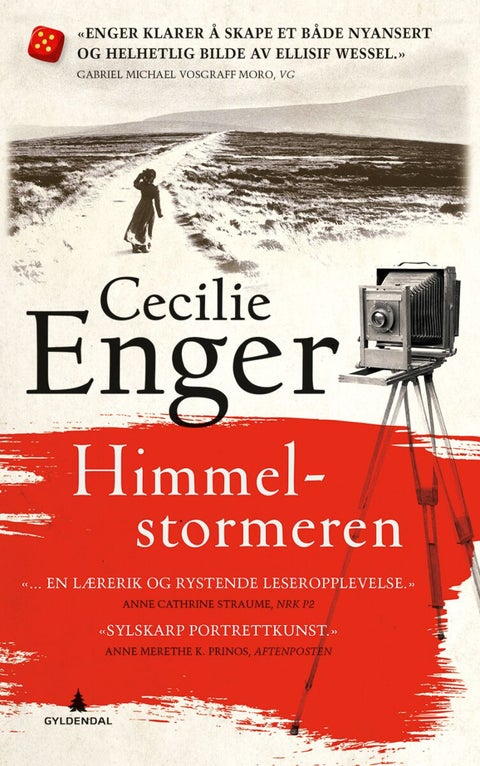 Himmelstormeren - en roman om Ellisif Wessel