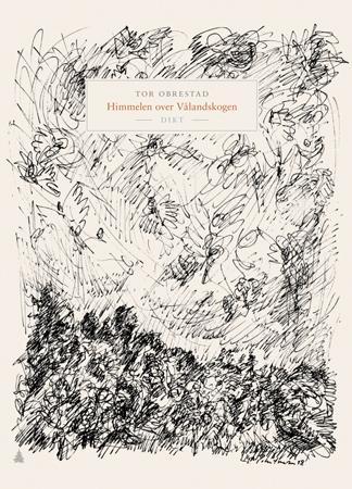 Himmelen over Vålandskogen - dikt