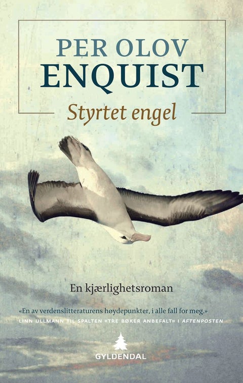 Styrtet engel - en kjærlighetsroman