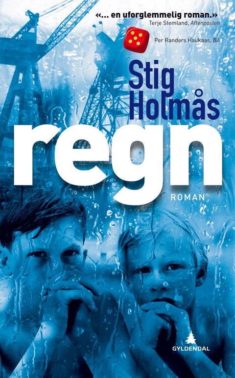 Regn - roman