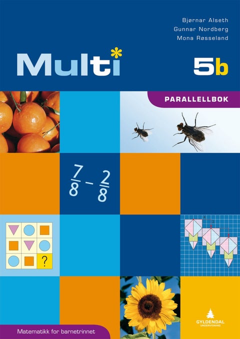Multi 5b - parallellbok : matematikk for barnesteget